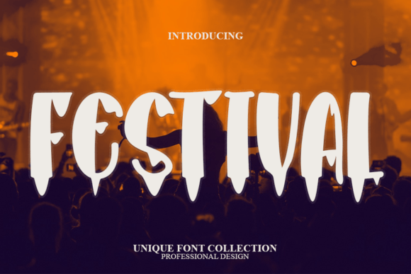 Festival Display Font for Campaigns That Stand Out