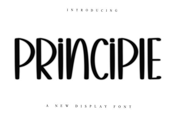 Principle Display Font for Elegant Brand Projects