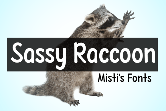 Sassy Raccoon Font Brings Playful Charm to Small Business Branding